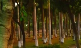 景区小视频在线观看,跟随小视频领略绝美风光